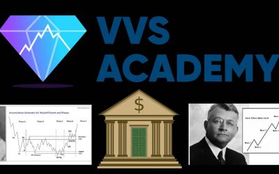 VVS Academy