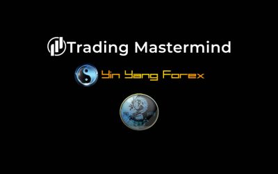 Yin Yang Forex Training Program – Trading Mastermind