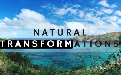 Justin Marc – Natural Transformations – Lets Get Girls