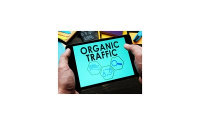 Organic Acceleration – How I turned 20 to 7 figs with Organic Traffic