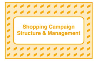 Take Some Risk – Shopping Campaign Structure and Management