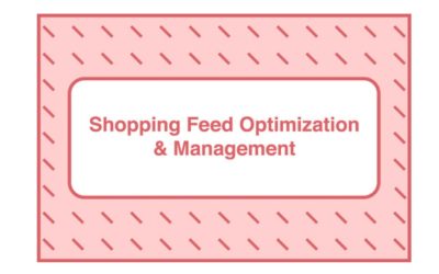 Take Some Risk – Shopping Feed Optimization and Management