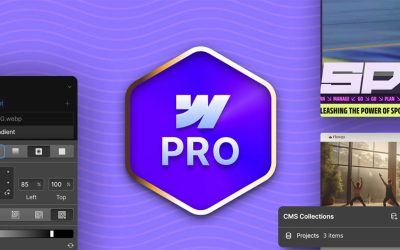 Ran Segall (Flux) – Webflow Masterclass 4.0 Pro
