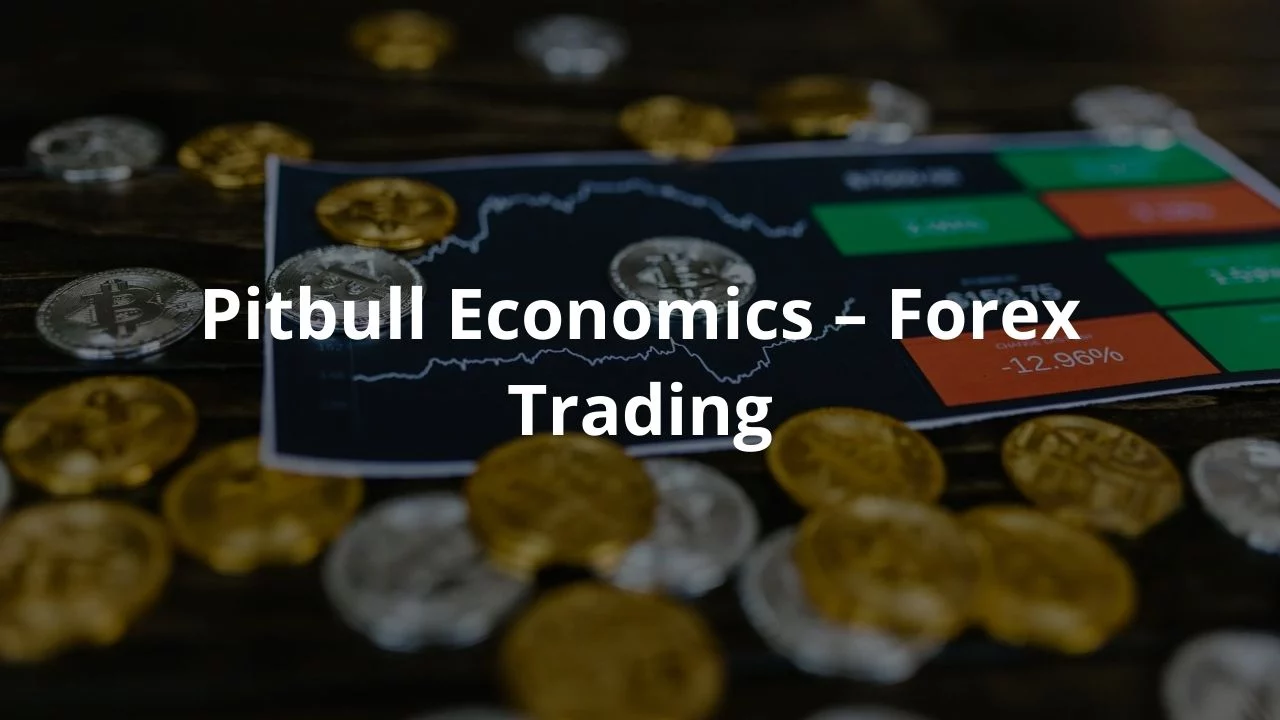 Pitbull Economics – Forex Trading