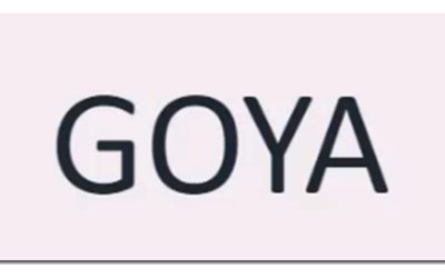 Goya Advanced Course 2023 – Sam9y