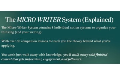 Taylin Simmonds – Micro-Writer System (AI Companion)