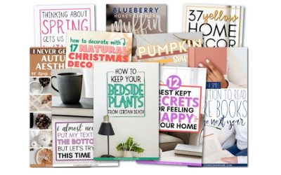 Carly Cambell – Pinterest Strategies 2025