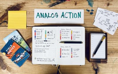 Matt Ragland – Analog Action