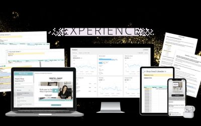Monica Froese – The Digital Shop Experience
