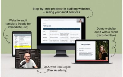 Danbee Shin – Website Audit Masterclass