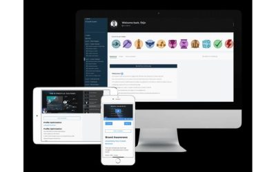 Stijn Noorman – The X Growth System