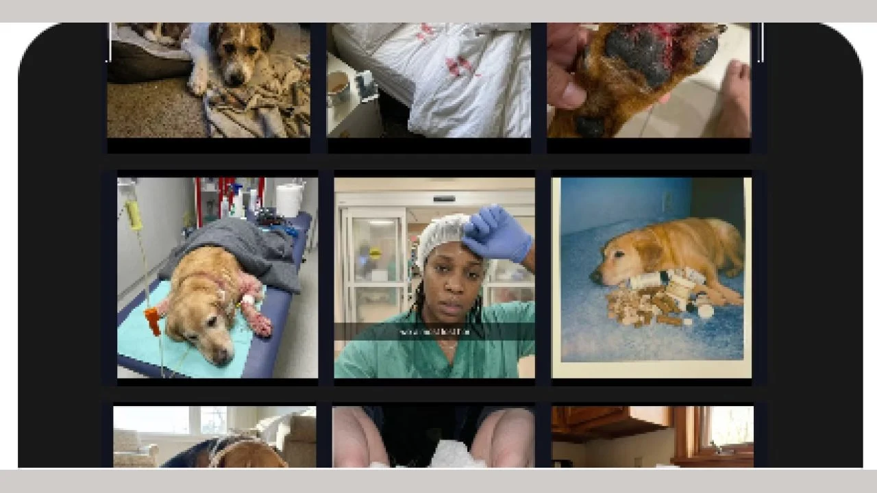 Satish Prajapati – Native Ads